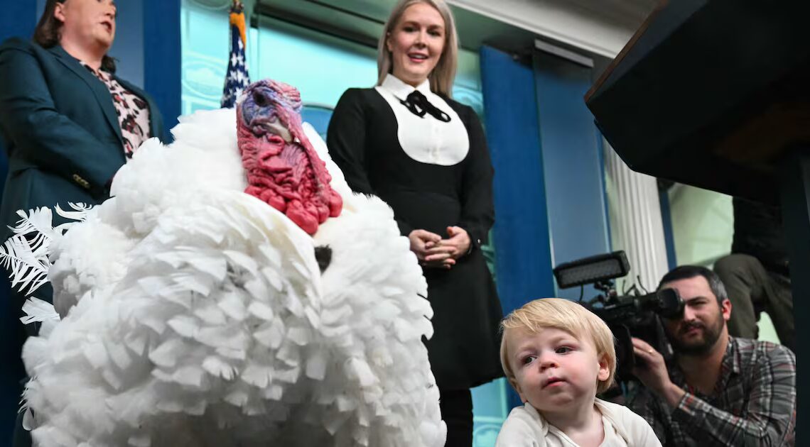 Karoline Leavitt Goes Full Cosplay for Turkey Pardon