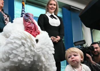 Karoline Leavitt Goes Full Cosplay for Turkey Pardon