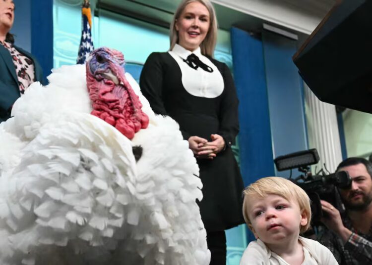 Karoline Leavitt Goes Full Cosplay for Turkey Pardon
