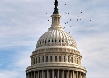 Talks to end the government shutdown intensify as federal closure is on track to become longest ever