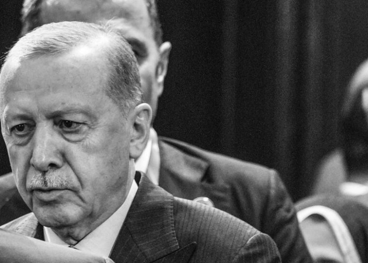 The Indispensable Erdogan