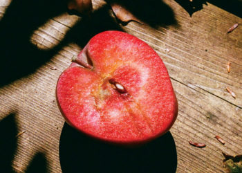 The Lovely Loneliness of Sunday Afternoons in Autumn