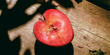 The Lovely Loneliness of Sunday Afternoons in Autumn