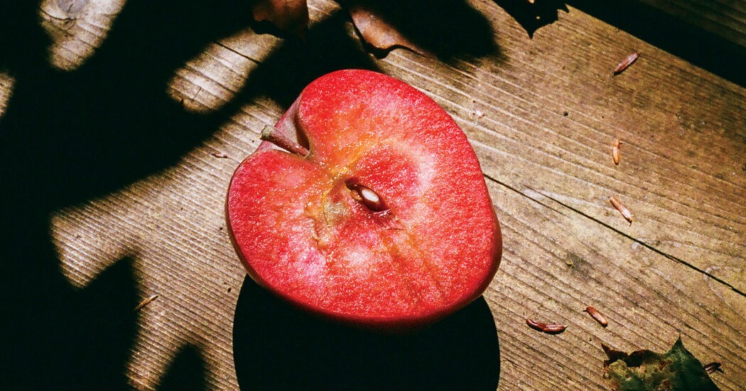 The Lovely Loneliness of Sunday Afternoons in Autumn