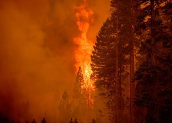 The World Is Failing Its 2025 Paris Agreement Target. Now What?