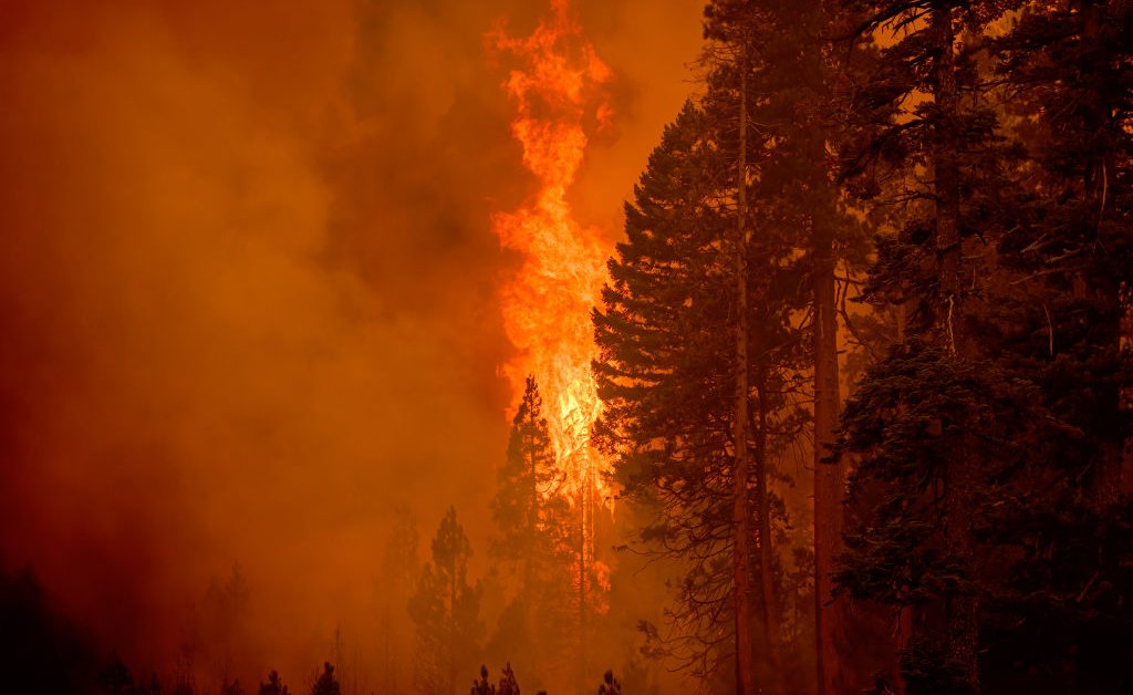 The World Is Failing Its 2025 Paris Agreement Target. Now What?