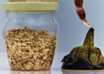 This Little-Known Diet Can Actually Lower Your Cholesterol