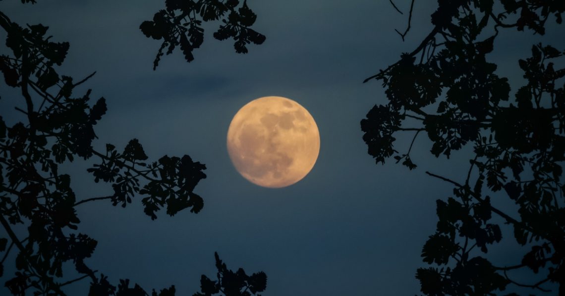 Today’s Moon Phase: November 5, 2025