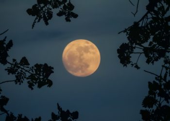 Today’s Moon Phase: November 5, 2025