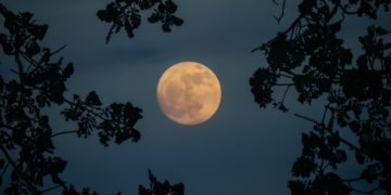 Today’s Moon Phase: November 5, 2025