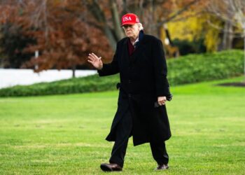 Trump Is Boosting MAGA X Accounts Operating Overseas