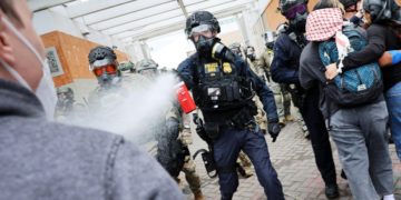 Trump deportation program divides Americans along party lines, poll finds