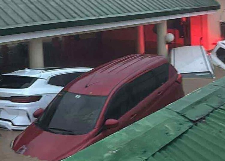 Two dead as Typhoon Kalmaegi brings massive flooding in central Philippines