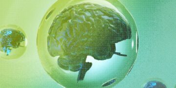 The 4 Things You Need for a Tech Bubble