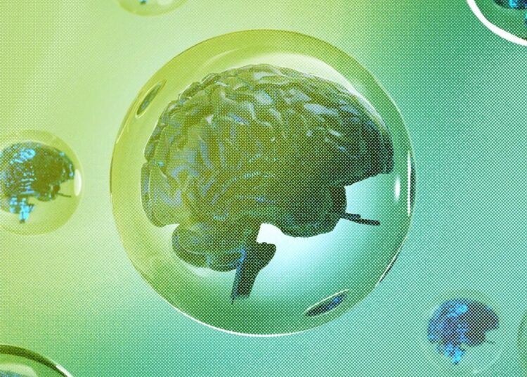 The 4 Things You Need for a Tech Bubble