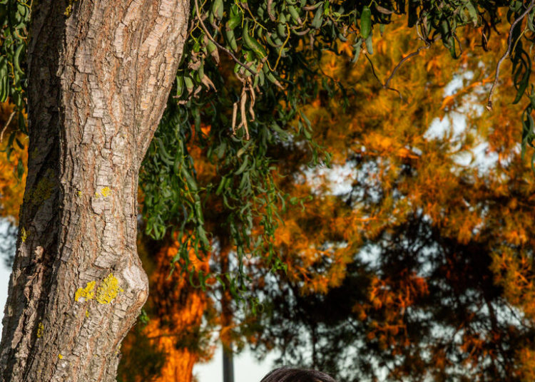 Under Trump, Becoming a U.S. Citizen Gets Harder