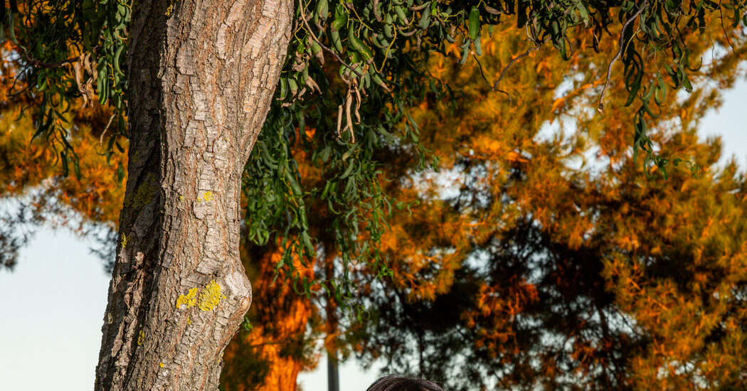 Under Trump, Becoming a U.S. Citizen Gets Harder