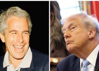 Scathing Poll Reveals What Americans Think Trump Really Knew About Epstein