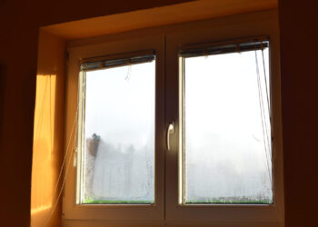 Water in the basement feels like an emergency, but don’t panic just yet