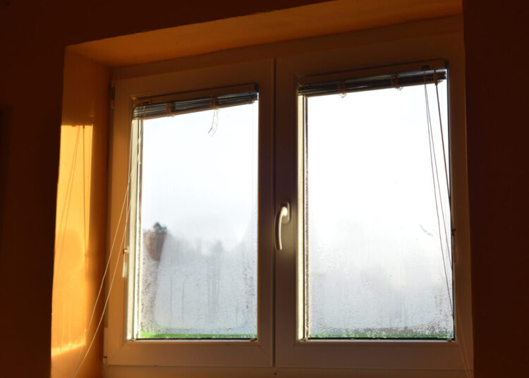 Water in the basement feels like an emergency, but don’t panic just yet