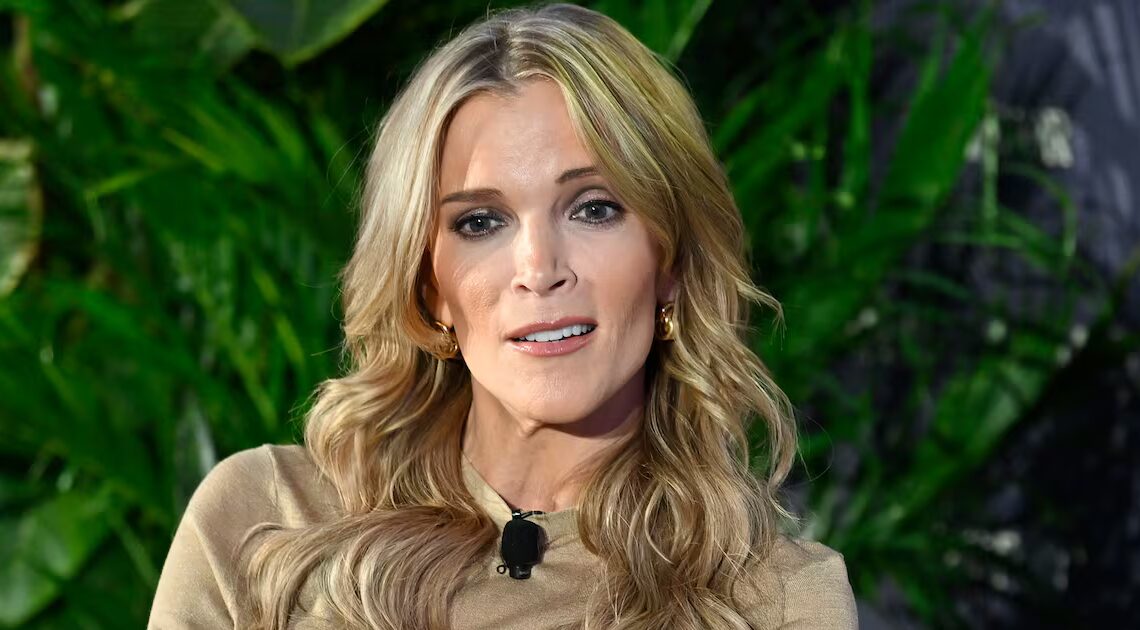 Epstein Victim Fires Back at Megyn Kelly’s Pedophile Math