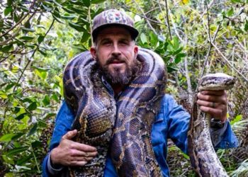 Was a hunting stand set up to target President Trump? The ‘Python Cowboy’ has doubts