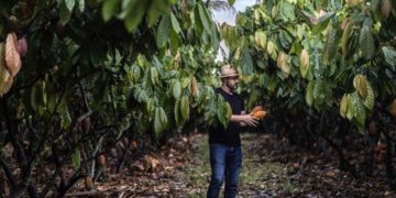 What Brazil’s Farmers Can Teach the World About Climate Action