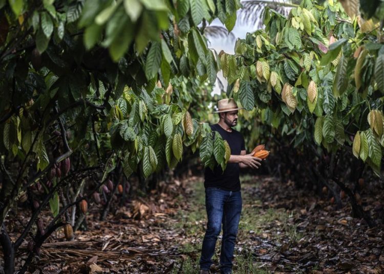 What Brazil’s Farmers Can Teach the World About Climate Action