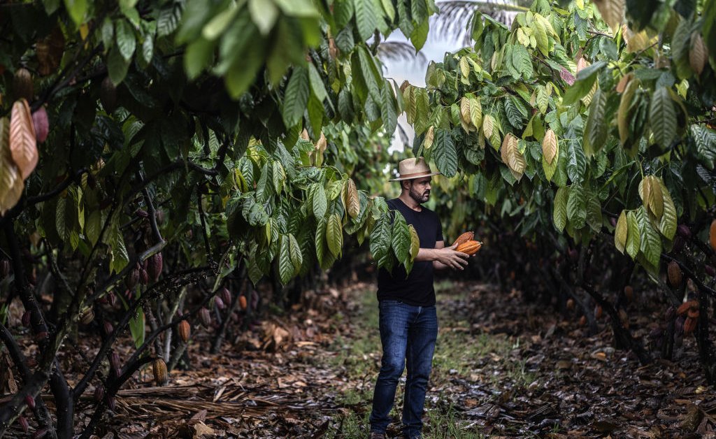 What Brazil’s Farmers Can Teach the World About Climate Action