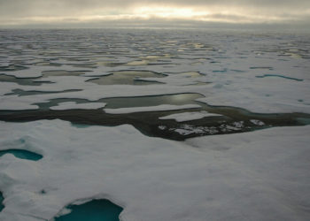 What Can Cosmic Dust Tell Us About the Changing Arctic?