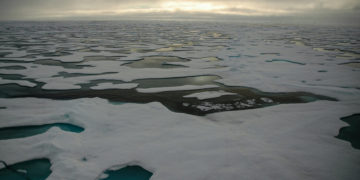 What Can Cosmic Dust Tell Us About the Changing Arctic?