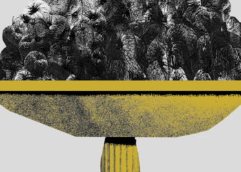 Why Trump Can Do No Wrong