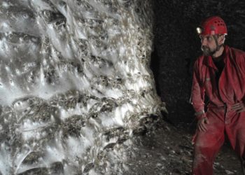 World’s Biggest Spiderweb Found in Horror Cave Crawling With 111,000 Spiders