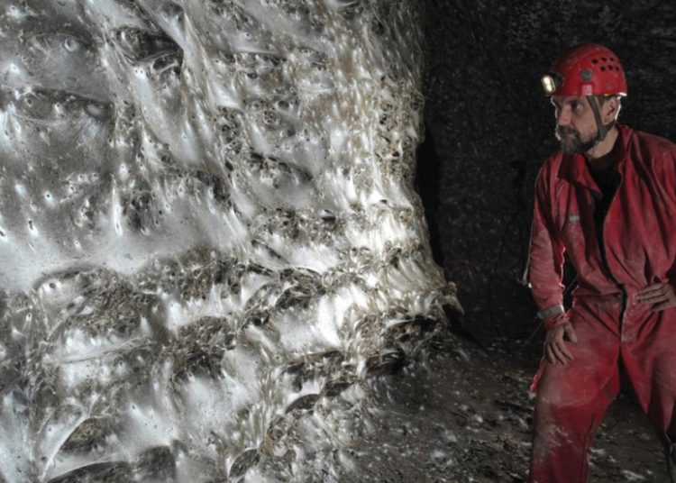 World’s Biggest Spiderweb Found in Horror Cave Crawling With 111,000 Spiders
