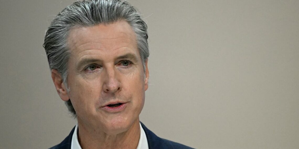 Blue States Accidentally Hand Over Residents’ Data to ICE