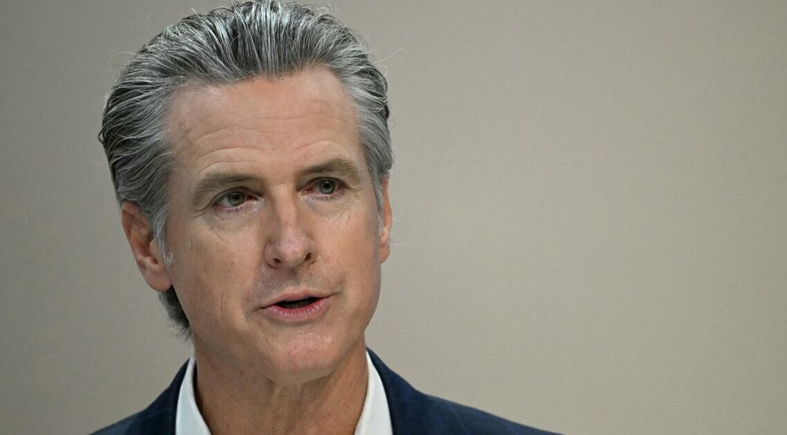 Blue States Accidentally Hand Over Residents’ Data to ICE