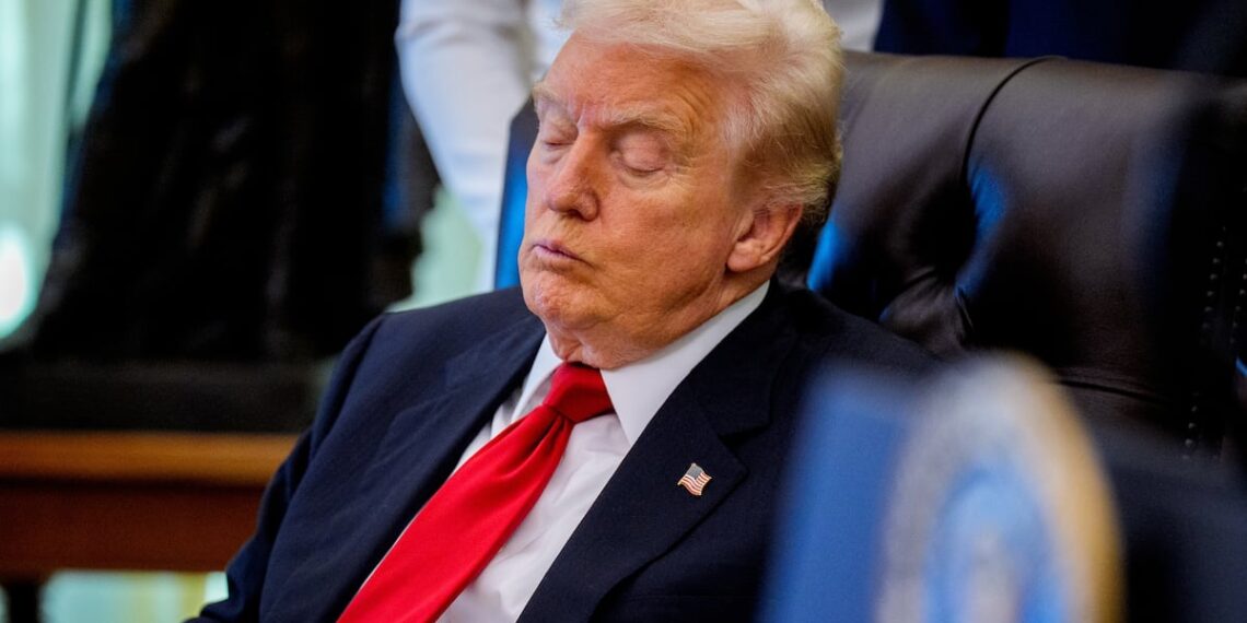 Federalist Boss Savages ‘Weak and Rudderless’ Trump in Scathing Rant