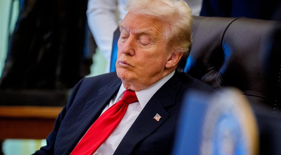 Federalist Boss Savages ‘Weak and Rudderless’ Trump in Scathing Rant