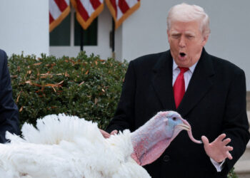 The Thanksgiving guide to winning political arguments with your family