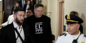 ‘Suddenly exposed’ DOGE employees fear prosecution after Musk abandoned them: report