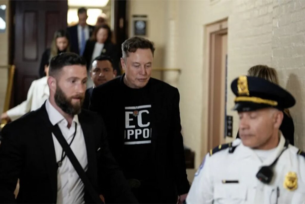 ‘Suddenly exposed’ DOGE employees fear prosecution after Musk abandoned them: report