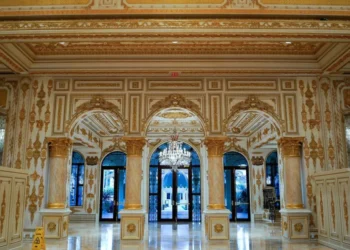 Trump allies seek to slip a visa workaround past MAGA hardliners: report