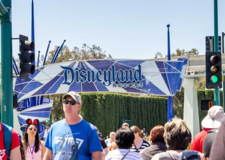 ‘How miserable do you have to be?’ ‘MAGA invasion’ of Disneyland skewered online