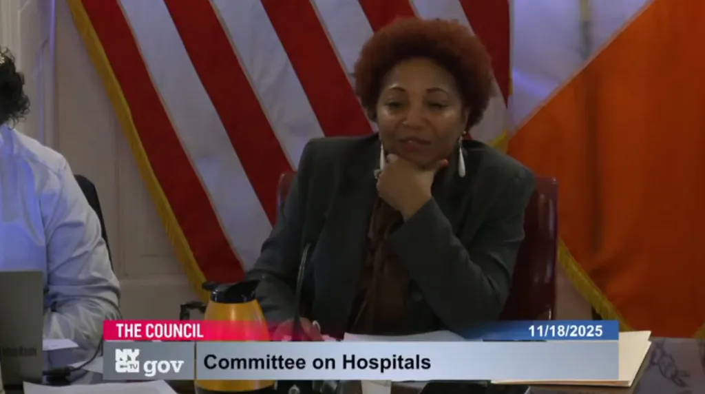 Council member Mercedes Narcisse, chair of the committee, speaking at the Committee on Hospitals meeting.