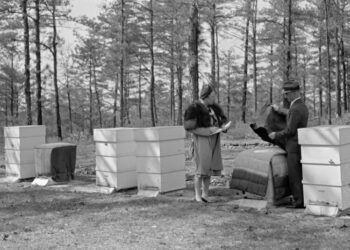 Beekeepers, Farmers and the Fight to Save a Century-Old Research Hub