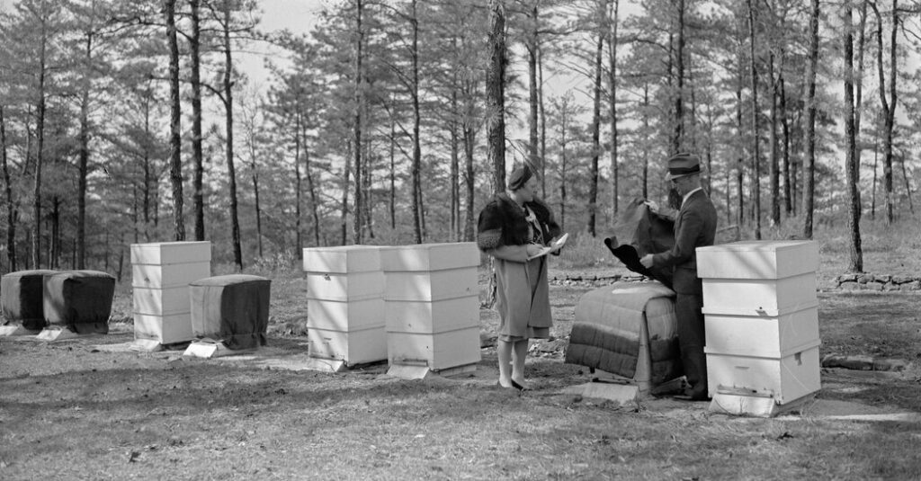 Beekeepers, Farmers and the Fight to Save a Century-Old Research Hub