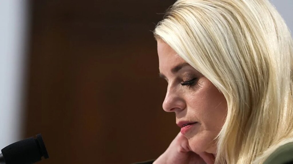 ‘100 monkeys with 100 crayons’: MS Now hosts gobsmacked as shoddy DOJ advice backfires