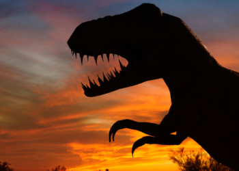 Dinosaur Puke Reveals New Flying Reptile Species