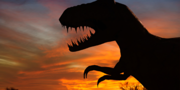 Dinosaur Puke Reveals New Flying Reptile Species