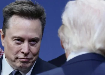 Elon Musk calls for ‘radical action’ after National Guard shooting